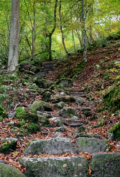 Allen Banks stairway