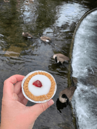 The author holds up an iced cherry bakewell, with the River Wye and a flock of geese in the background.