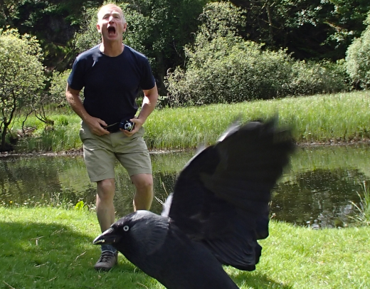 A Contours customer encounters a jackdaw out on the trails.