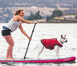 A woman on a paddleboard with her dog on the front wearing a lifejacket.