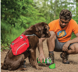 A man kneels next to a dog wearing a red backpack.