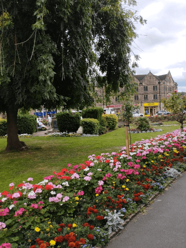Views across Bath Gardens, with colourful beds of flowers, a large tree and freshly litter-picked lawn.