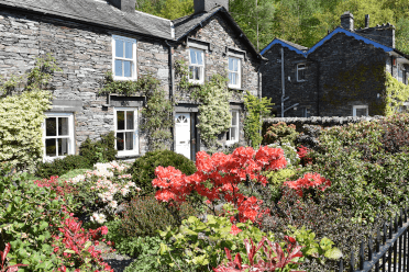 TFlowers blossom in the gardens of two stone houses in Grasmere.