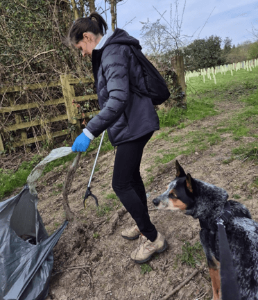 A Contours team member lifts a trailing piece of fibrous litter in one gloved hand, trying to get it into a litter bag. Office dog Jesse looks on, unhelpful.