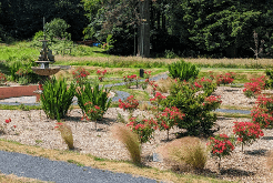 A fish fountain and ordered beds of red flowers at the memorial garden in Machynlleth.
