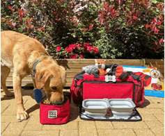 Red compartment bag for carrying dog supplies
