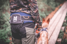 A man walks with his dog clipped to a padded belt around his waist.