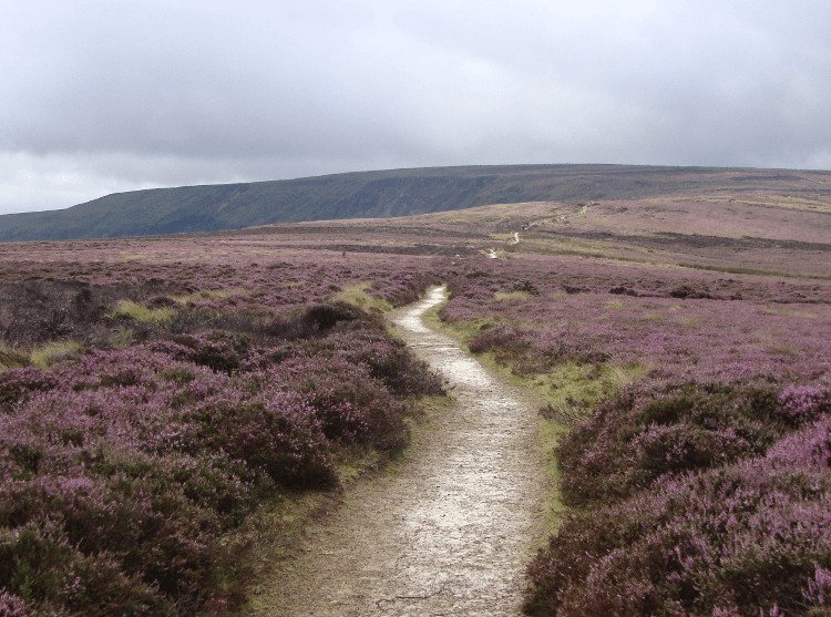 Trail running maps and guidebooks