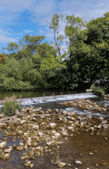 A view across the River Wye in Bakewell, with green trees in the background and a few rocks protruding from the surface.