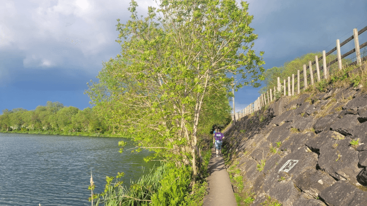 Runners follow a tarmac path alongside a body of water.