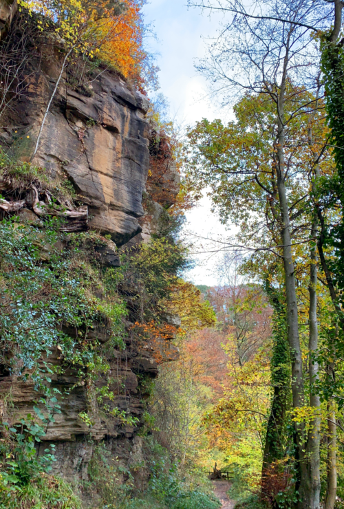 Staward Gorge
