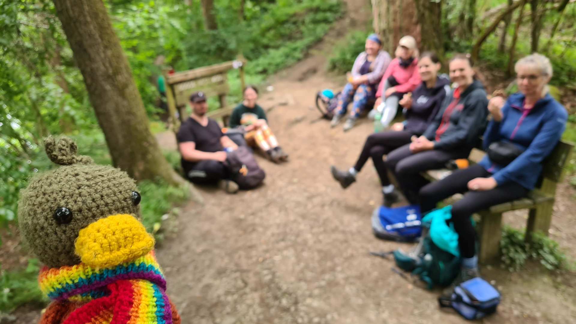 Views through a gate in a stone wall over the rolling green hills of Yorkshire, with its famous peaks in the far distance.