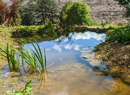 A large pond reflects the sky.