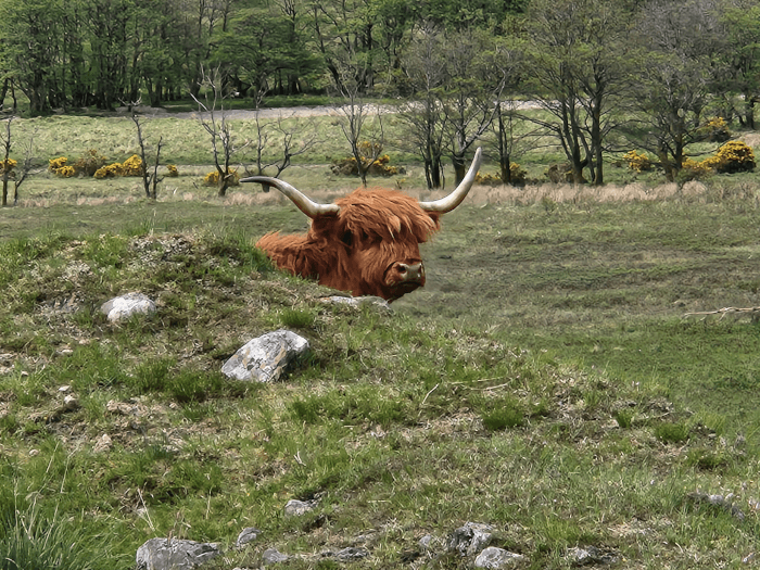 The Stepping Stones on the River Wye by Malfrid Grimstvedt